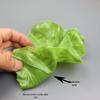 Artificial Lettuce Leaf for Display and Decoration - Large Fake Vegetable and Fruit Model