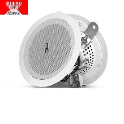 DiYou Ceiling Speaker & Public Address System CN Plug (adapter Included)