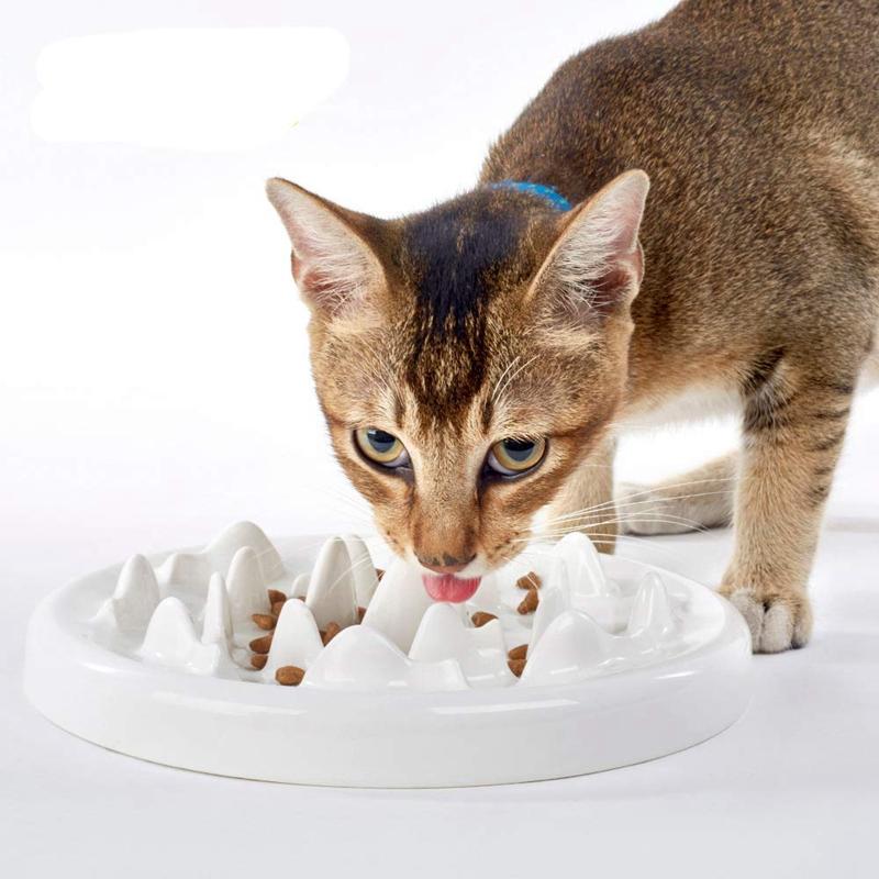 Slow Feeding Bowl, Ceramic Play Interactive Play BLOOD BLOCK BLOOD MISK CAT Prevention Feeder Anti-Alulping Health Feeding Bowl for Animals | Dog Food