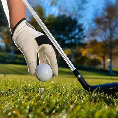 Snooker y billar – Accesorios para snooker y billar