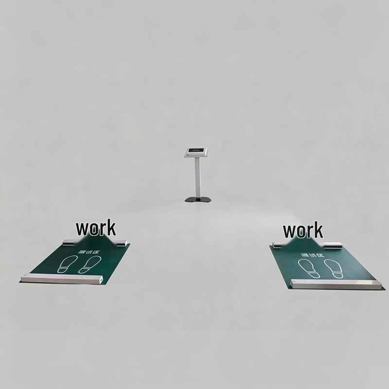 Smart Single-Leg Stand Balance Tester