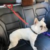 Reflective Pet Car Seat Belt Adjustable Dog Harness Leash Dog BackSeat Safety Belt  Pet Outdoor