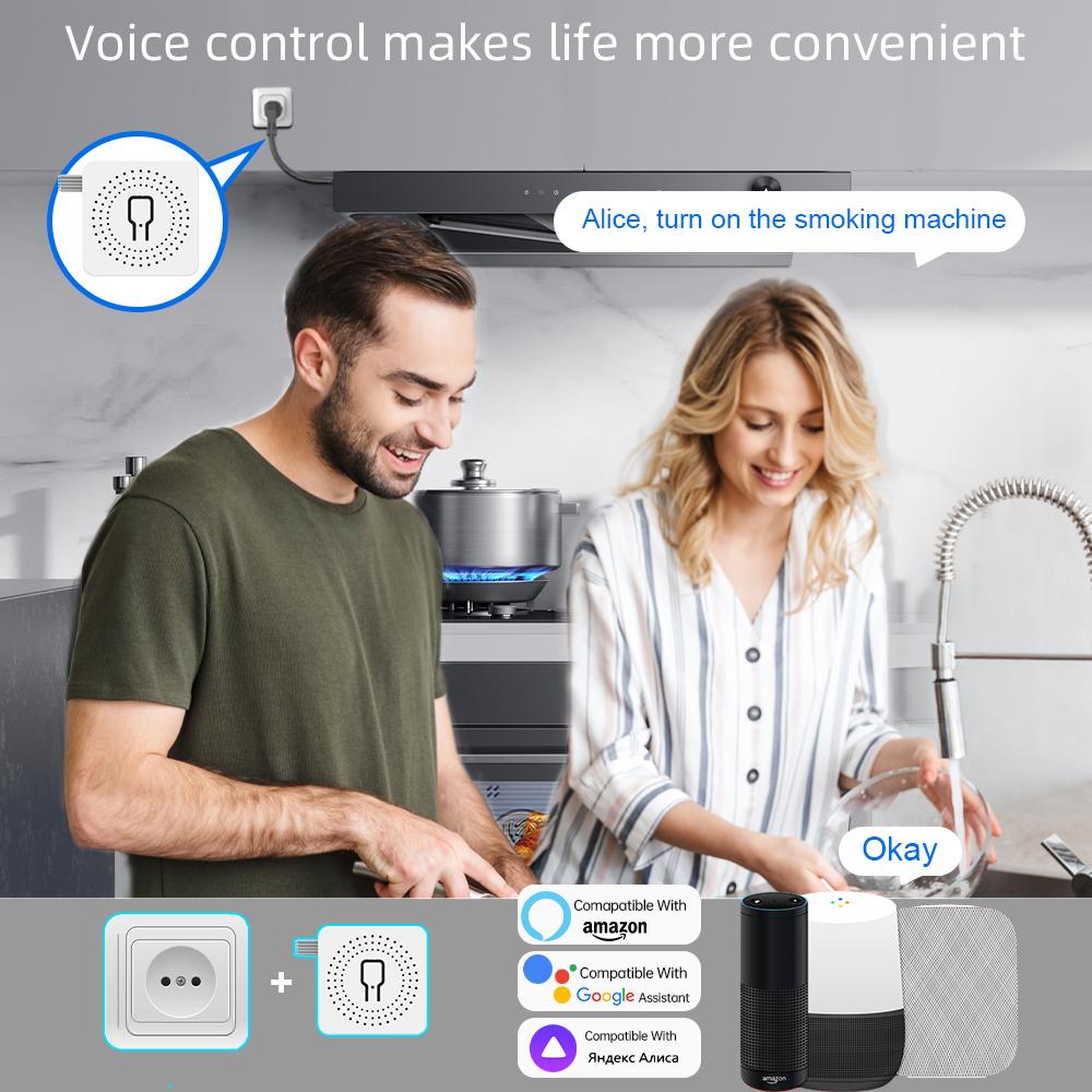 Tuya ZigBee 3.0 Smart Switch Module 1/2/3/4 Channel 2 Way Control Breaker Timing Works with Alexa Google Home Smart Life APP