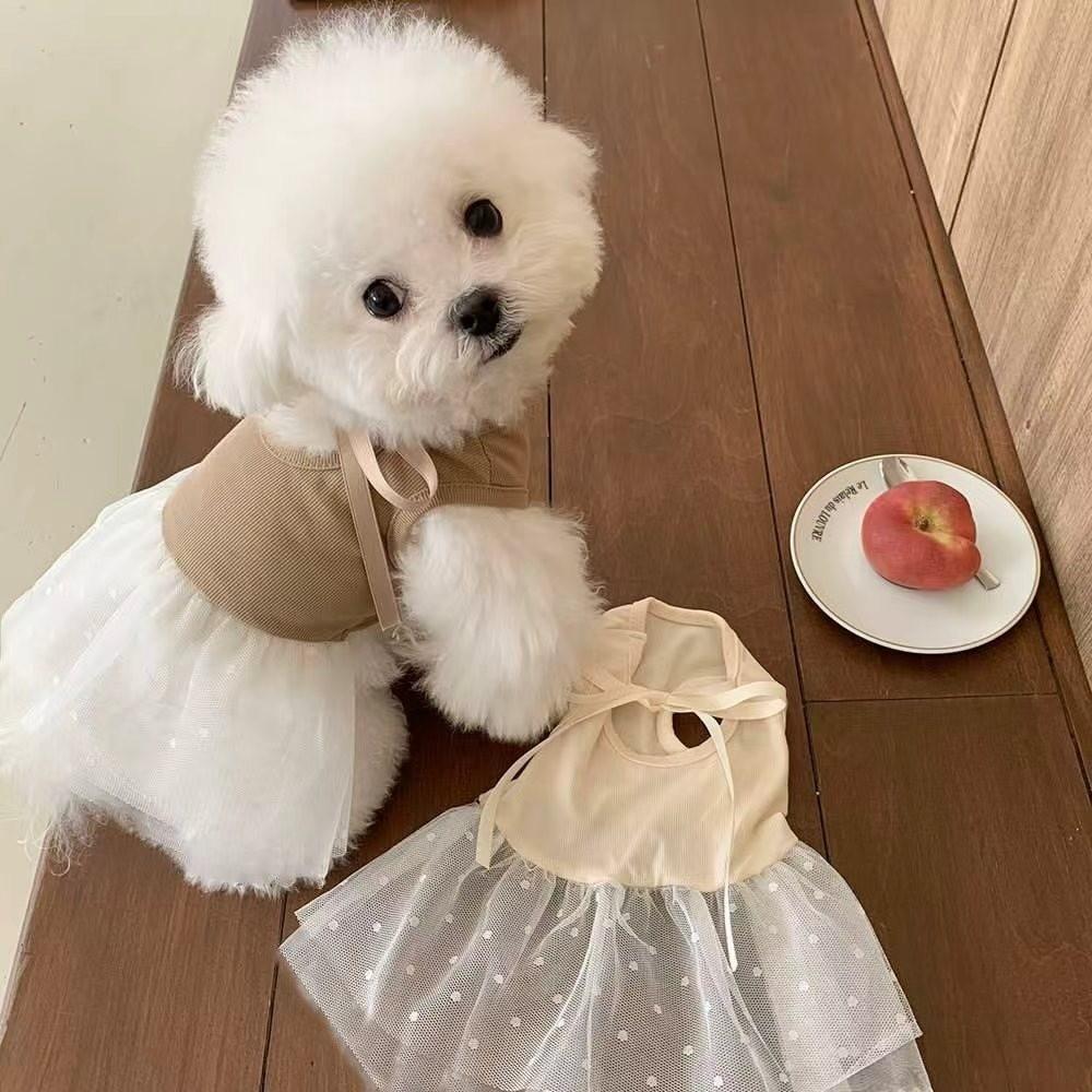 Lace Dog Dress Thin Mesh Mesh Skirt Fashion Dog Clothes  Dog Accessories