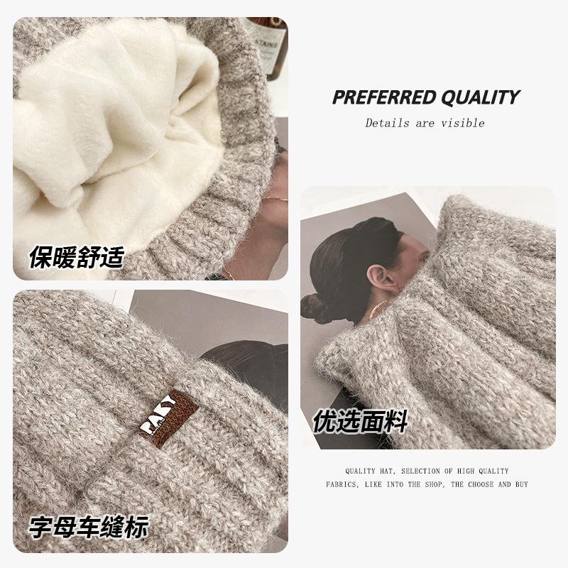 Cat Ears Wool Hat Women's Autumn and Winter Fleece Thickened Warm Knitted Hat Cold Protection Ear Protection Baotou Hat