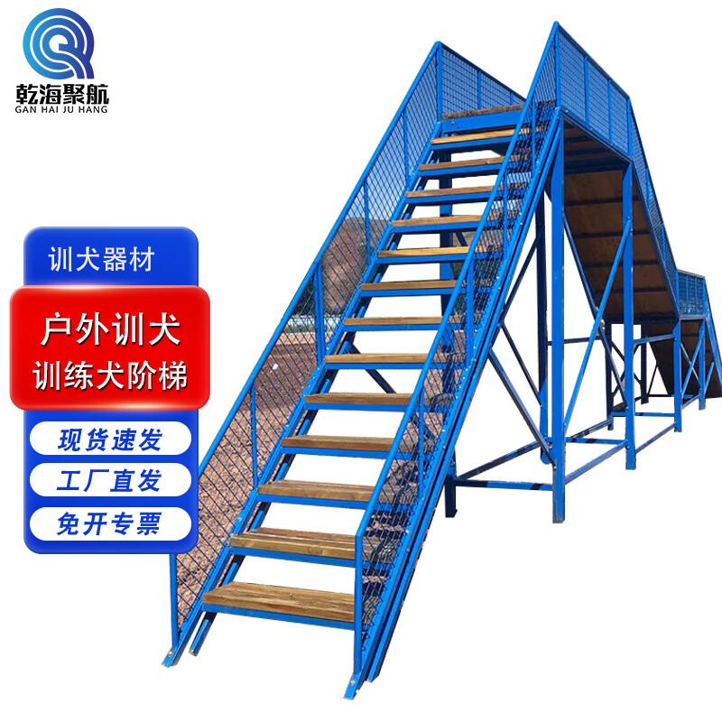 Professional Outdoor Dog Training Equipment