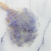 Gipsówka Stabilizowana Mini - (Gypsophila) - Lawendowa