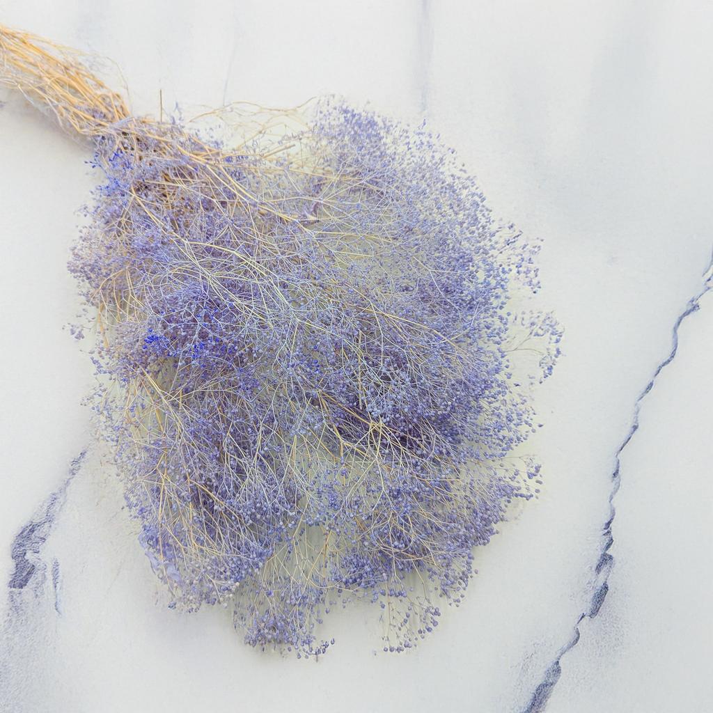 Gipsówka Stabilizowana Mini - (Gypsophila) - Lawendowa