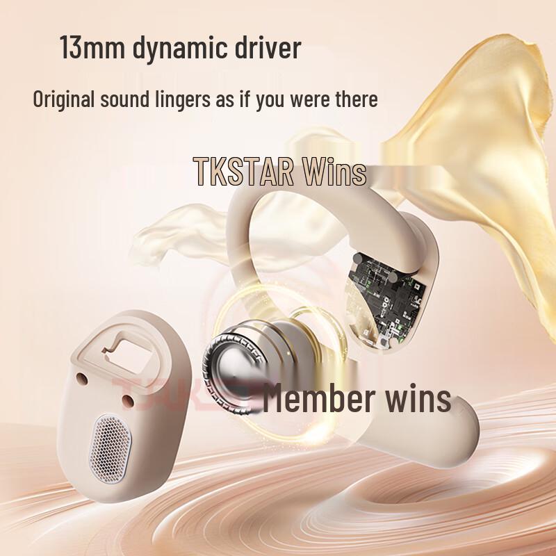 TAKSTAR LA350W Open-Ear Wireless Earbuds