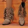 Spring New Coarse Heel Shoes Women's Pointed Suede Sleeve Tassel Soft Sole Non-slip Short Boots