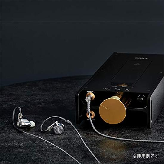 Écouteurs intra-auriculaires étanches avec micro Sony MDR-AS210AP / Noir