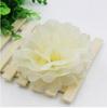 Paper Flower Balls: Festival, Birthday, Party, Wedding & Event Decorations Streamers (European & American Style)