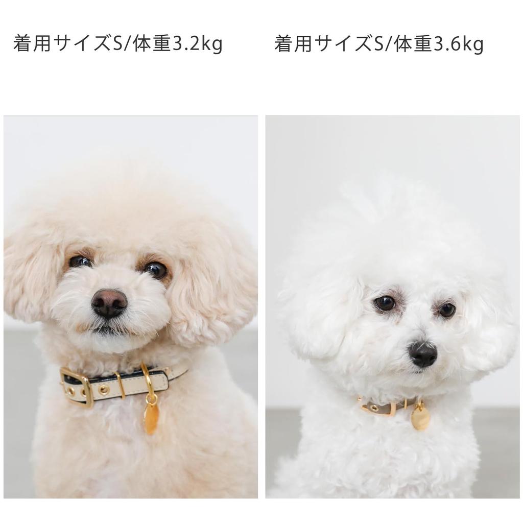 Circle Charm Leather Dog Small Medium Dogs x Genuine Cow Adjustable Going Out monchéri [Bicolor Color] Collar, Dogs, (M/Pink Ivory), Leather,