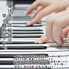 Smaly Neues Roll-Up Piano (49 Tasten)