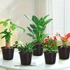 20pcs Large Soft Plant Seedling Pots For Promotes Growth Thickened Breathable Plastic Flower Nursery Pots Gardening Accessories