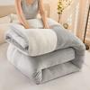 Double-sided milk velvet quilt winter thickened super warm 5kg lamb velvet quilt spring autumn comforter single double quilt