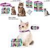 Reflective Nylon Cat Collar With Bell Free Engraving Available In Multiple Colors Suitable For Cats