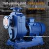 80BZ-30 High Head 380V Horizontal Self-Priming Centrifugal Pump for Large Flow Three-Phase Circulation.