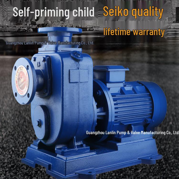 80BZ-30 High Head 380V Horizontal Self-Priming Centrifugal Pump for Large Flow Three-Phase Circulation.