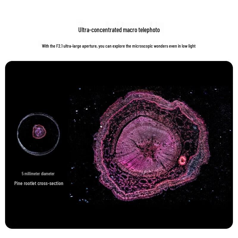 Huawei Pura 70 Pro+ Smartphone (CN version)