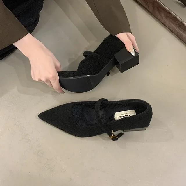 Fashion Pointed Single Shoe Women's Spring New Style French Thick Heel Shallow Mouth Shoes Elegant Low Heel Women's Shoes