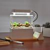 Mini Betta Fish Tank Acrylic Aquarium Desktop Decorations Marine Aquaponic Fishes Bowl With Water Fliter USB Air Pump LED Light