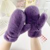 Warm Winter Plush Gloves Velvet Windproof Gloves New Solid Color  Gloves  Women