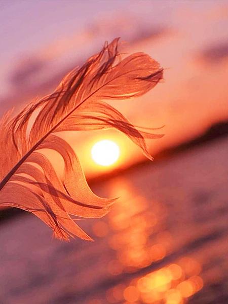 5D DIY Diamond Painting Sunset Cross Stitch Kit Diamond Embroidery Feather Mosaic Scenery Sale Picture Rhinestones Art