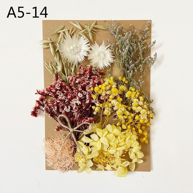 Exquisite Eternal Dry Flower Ancient Style Group Fan Material Pack for Children's Handmade Exclusive Decoration Dried Flowers