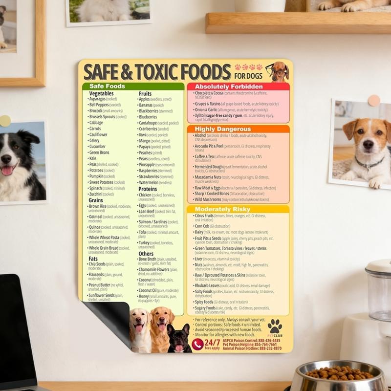 Educational Dogs Food Safety Magnetic Poster Dogs Feeding Safety Magnet For Responsible Pet Caregivers