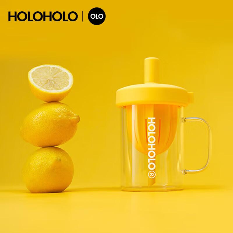 HOLOHOLO Acorn Tea Infuser Glass Bottle 600ml