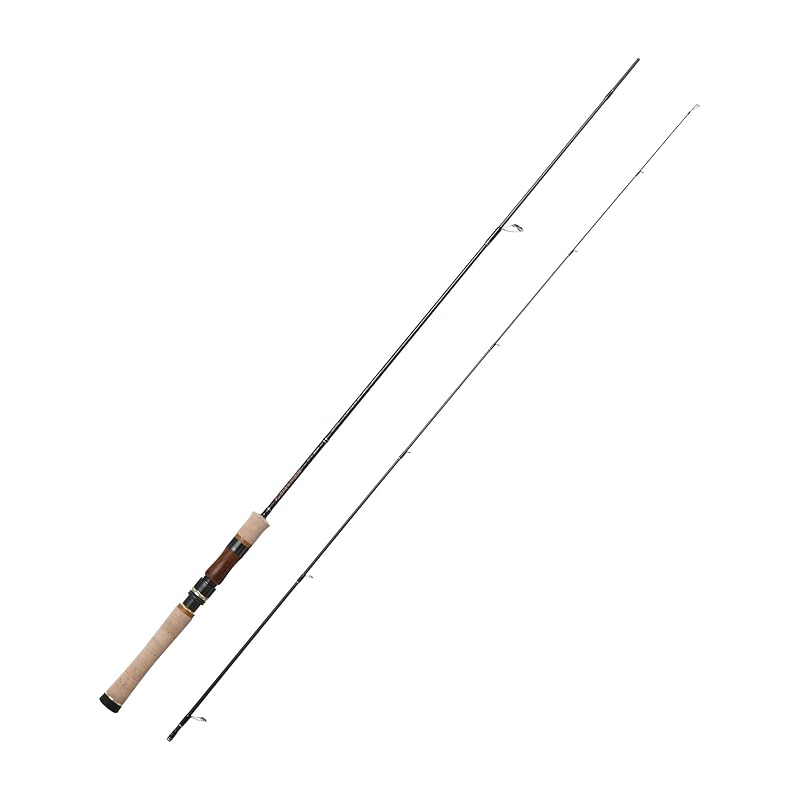 

major craft FINETAIL X mountain stream model FSX-622L