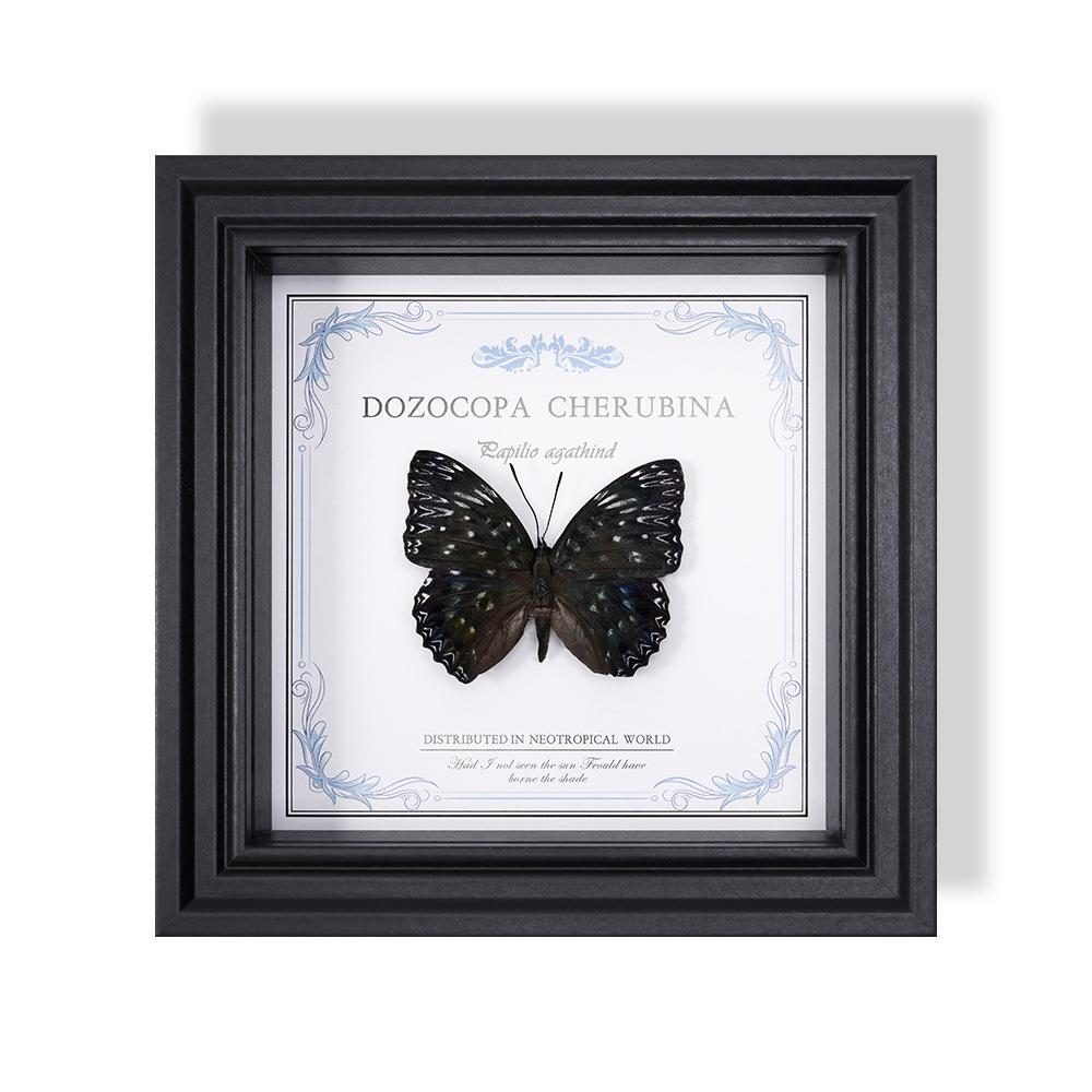 Wall-Mounted Butterfly Specimen Photo Frame: Home Decor & Gift for Valentine's Day, Qixi, Birthday, Couples & Insect Lovers