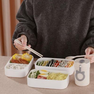 24TE Japanischer Stil Doppelschicht Kunststoff Material Lunchbox mit Mikrowellenofen Bento Boxen für Kinder Studenten für die Schule