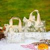 Transparent Daisy PVC Gift Bag with Ribbon