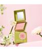 Choose 1 Of 5 Blush Mini