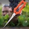 Vegetable Trimming Fruit Pruning Garden Shears Lightweight Flower Scissors For Easy Handling Detailed Plant Maintenance