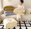 A Milk Velvet Bed Blanket Four Season Universal Children Adults Solid Color Durable Sofa Comfortable Soft Coral Velvet Quilt