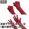 [Black Omen] Long Gloves, Cosplay, 8 Colors Available, Lace (6705-Black, One Size Fits All) bs513-f-6705-bk