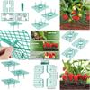 Plastic Strawberry Supports Anti-rot Strawberry Growing Racks Garden Accessories