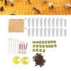 143 Pcs Set Plastic Queen Bee Rearing System Durable Queen Rearing Grafting Kit  Beekeepers