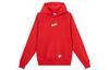 Sportswear Lny Men's Fleece Hoodie IQ3707-657