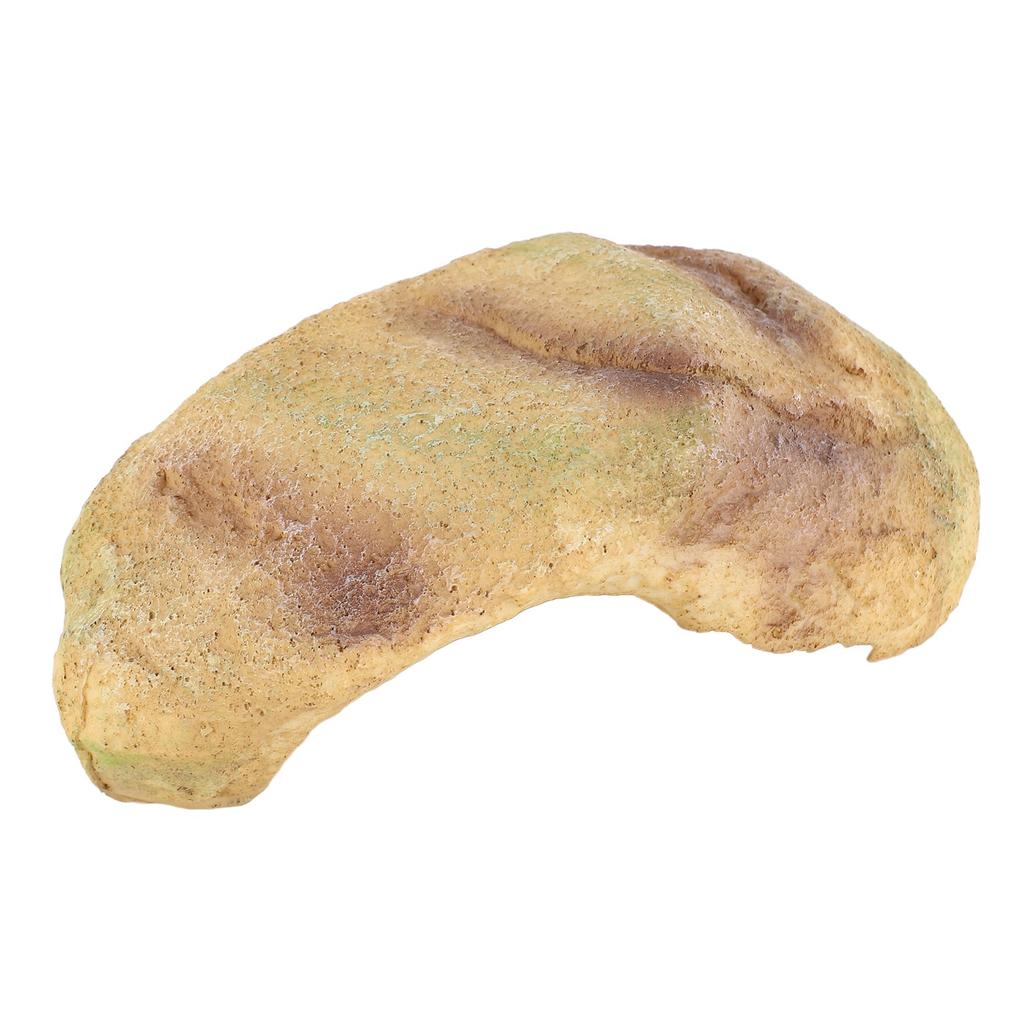 Fish Hiding Cave Resin Fadeless Vivid Comfortable Fish Tank Shelter Decoration for Reptile