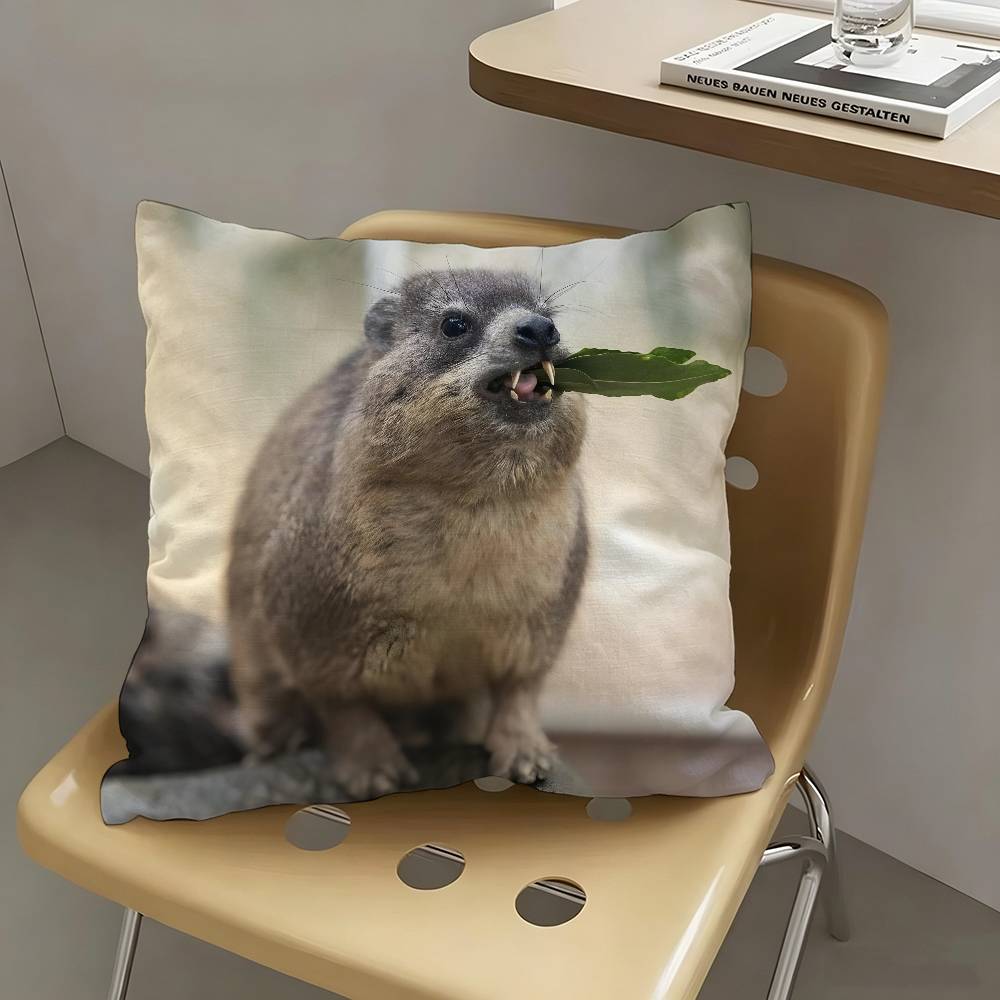 1pc Rock Hyrax Animal Pillow Case Fashion Square Pillowcase Bedroom Sofa Room Ins Decoration Leisure