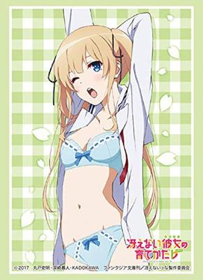 Bushiroad Sleeve Collection High Grade Wie man eine langweilige Freundin großzieht Spencer Vol.2188 Saekano „Sawamura Eriri“ Teil 2
