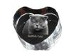 Scottish Fold – Crystal clock with a picture of a cat, heart-shaped shelf clock – Design 02 | Art-Dog