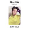 Stray Kids ODDINARY Official Photocard