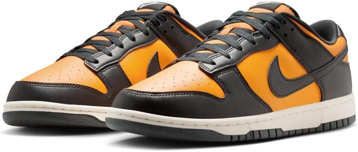 Nike Dunk Low Retro Size HF5441-700, Sundial/Sail/Anthracite, 29.5cm