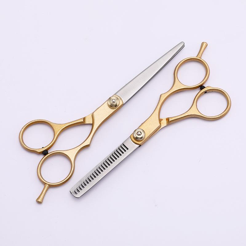Professional 6.0 Inch Stainless Steel Barber Hair Cutting Thinning Scissor Shears Hairdressing Set