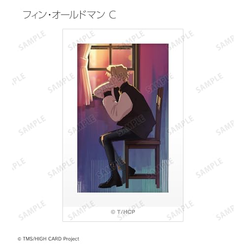 TV-Anime "HIGH CARD" Sammel-Endillustration Sofortbildkamera-Stil Illustrationskarten 18-Stück-Box